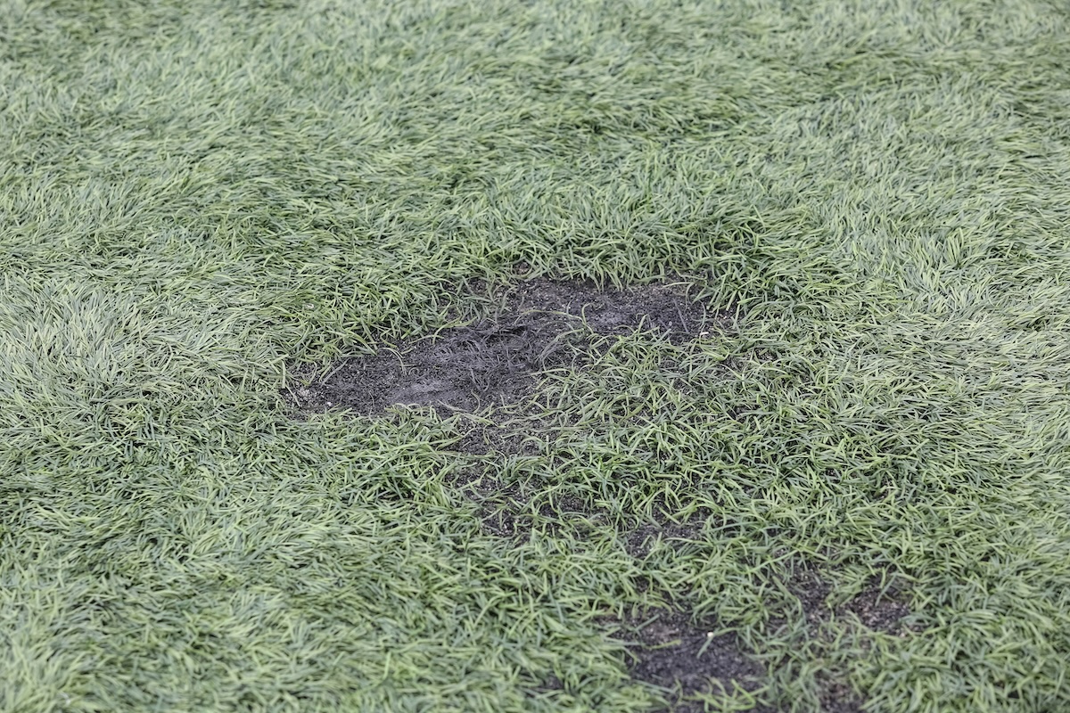 A picture When to Replace a Turf Football Field of with Republic Sports